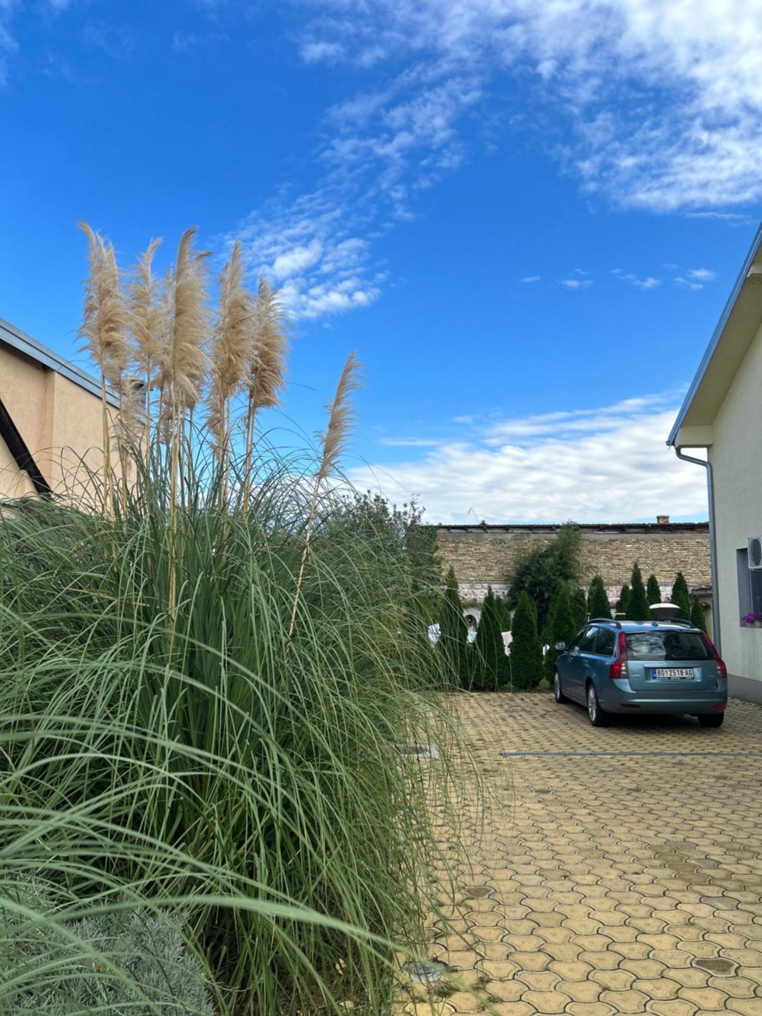 Nest Zen Garden * Novi Sad
