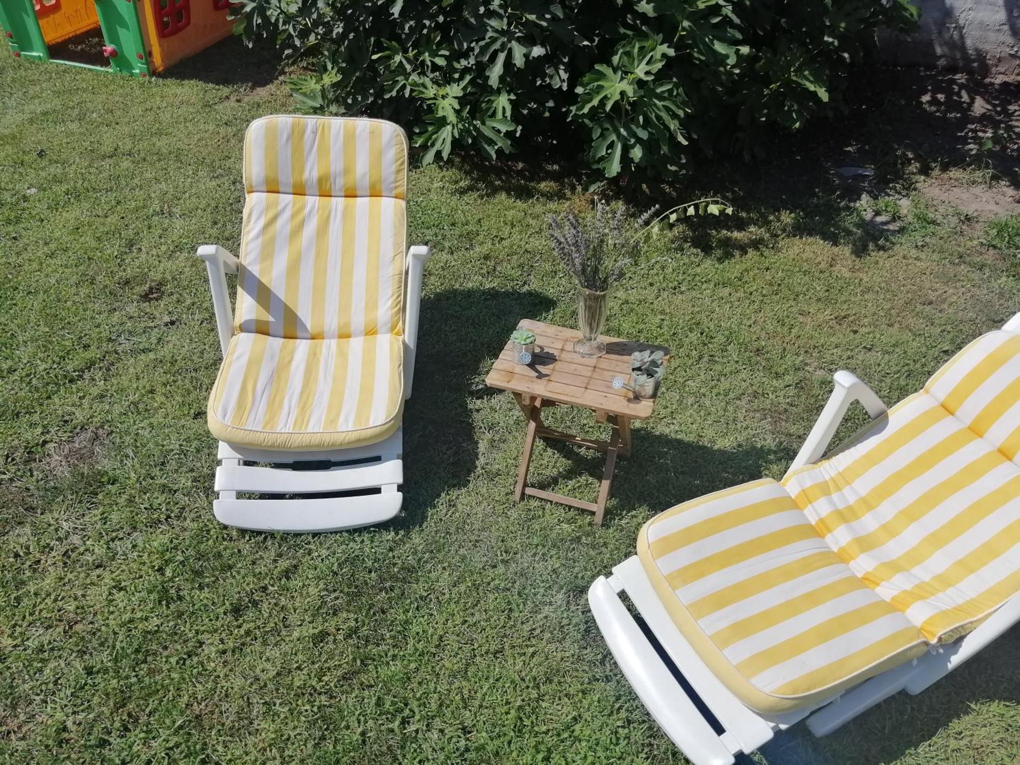 Nest Zen Garden Novi Sad